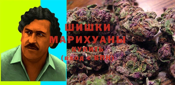 таблы Бородино