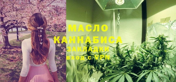 таблы Бородино