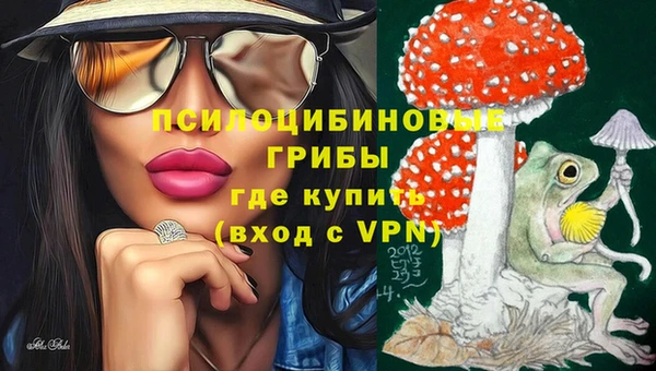 дурь Приозерск
