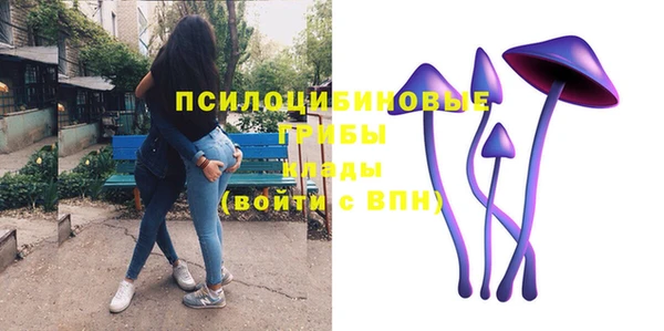таблы Бородино