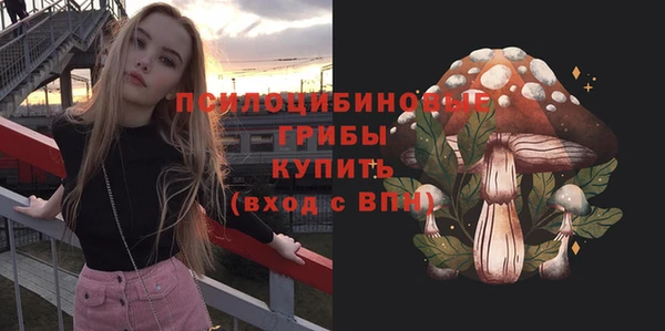ALPHA-PVP Бугульма